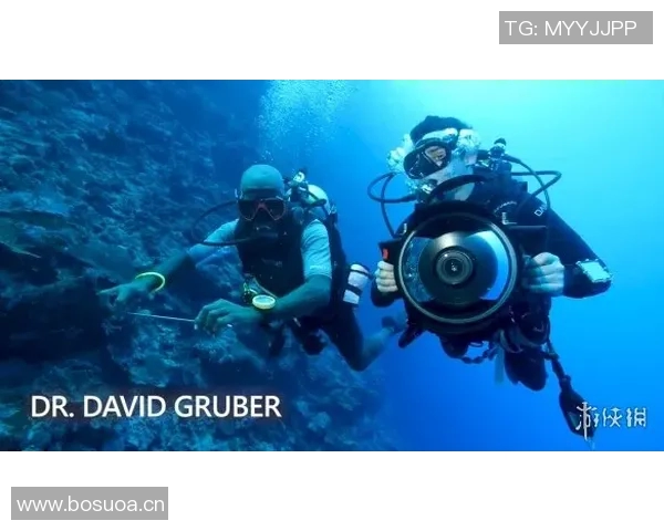 竞技SUP:探索风浪中的极限挑战与水上运动新趋势 竞技SUP:探索风浪中的极限挑战与水上运动新趋势